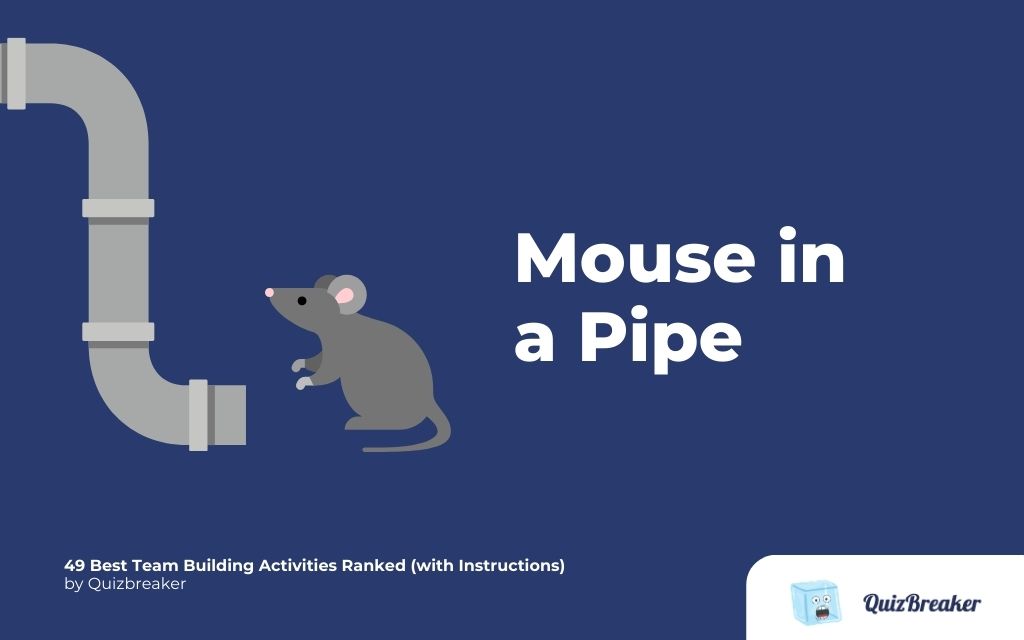 mouse in a pipe